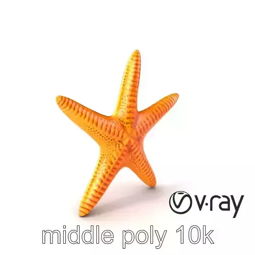 Starfish Texture Detailed Natural model pack Low-poly 3D model