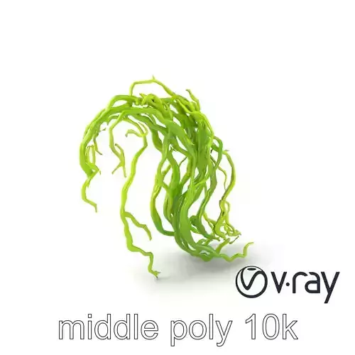 Vibrant Seaweed Oceanic Environment model pack Low-poly 3D model