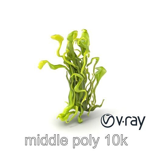 Flowing Seaweed Natural Texture model pack Low-poly 3D model