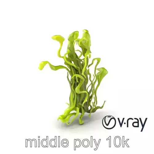 Flowing Seaweed Natural Texture model pack Low-poly 3D model