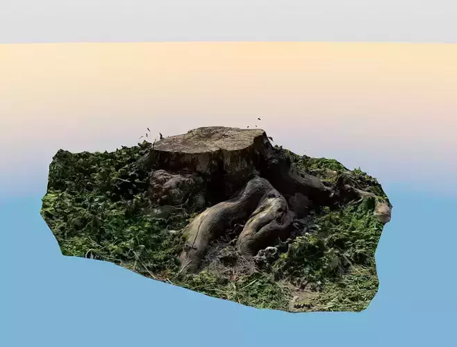 Ultra-Realistic 3D Scanned Tree Stump Model  Wooden log