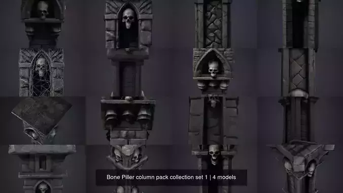 Bone Piller column pack collection set 1 