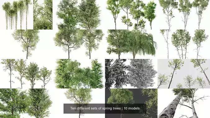 AV 10 different sets of spring trees