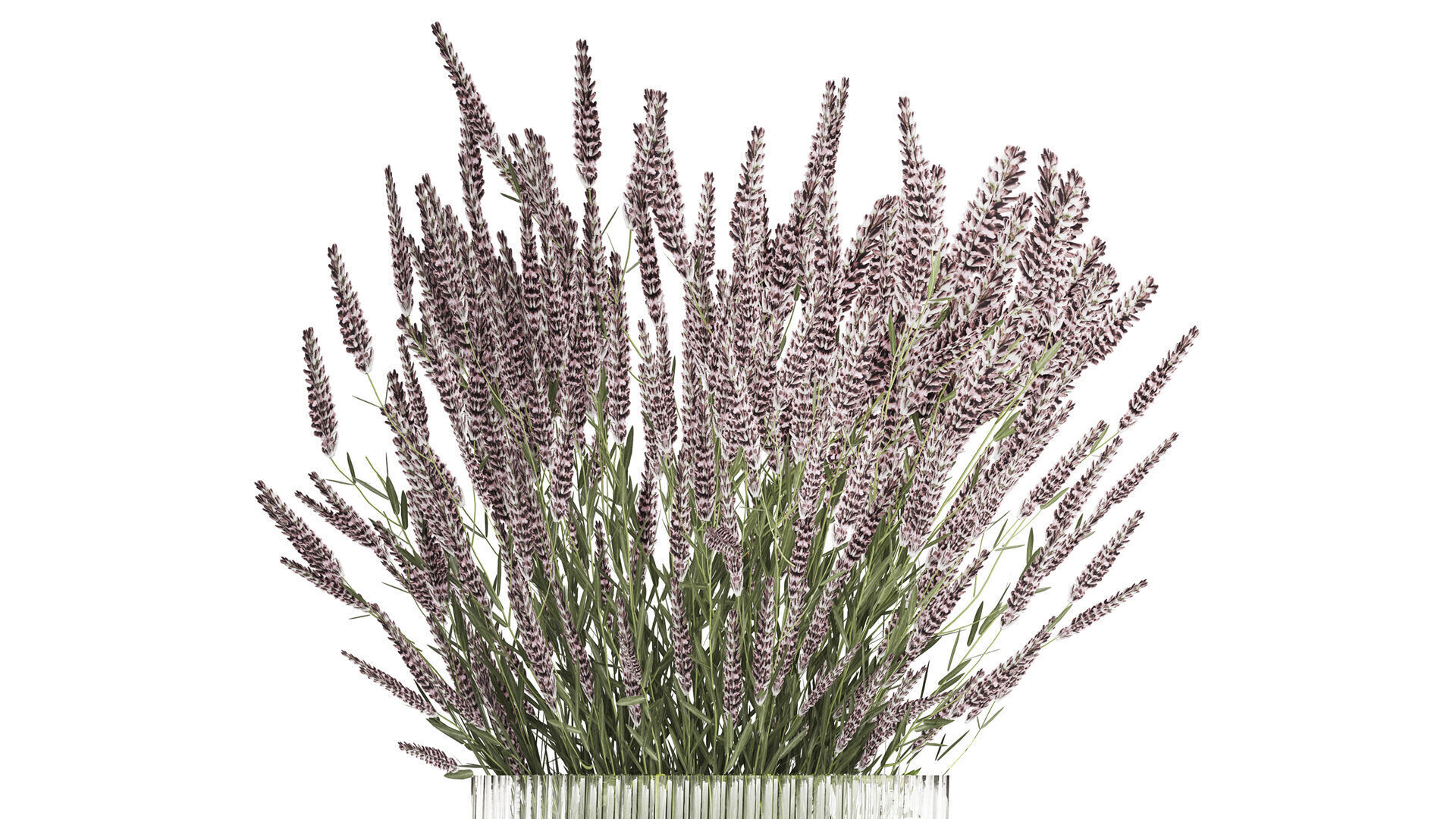 Bouquet Of Wild Flowers  With Lavender Sage 513 3D model_4
