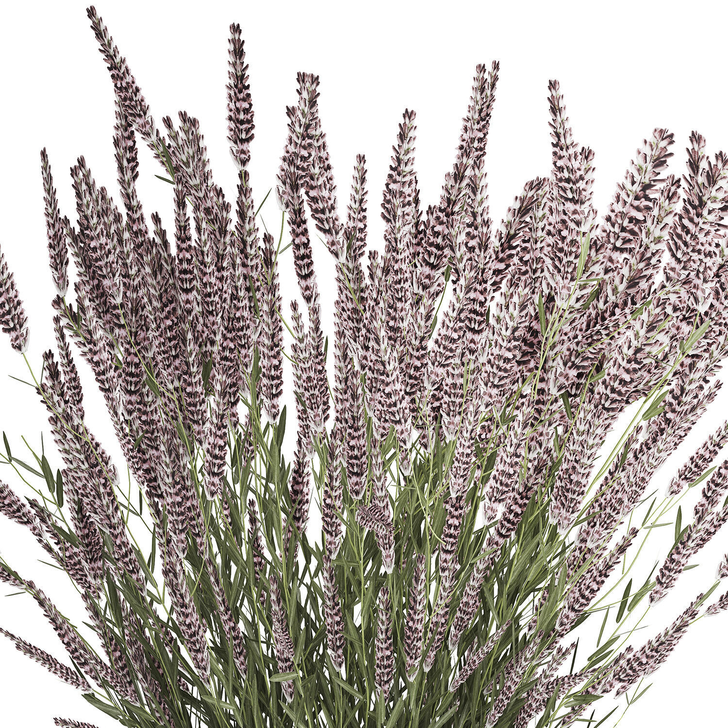 Bouquet Of Wild Flowers  With Lavender Sage 513 3D model_10
