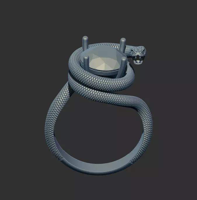 Snake Ring 34241 3D print model_0