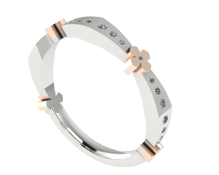 3dm and 5 Stl file supported 3D print model_3