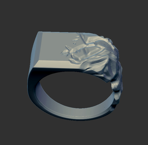 Ring 59705 3D print model_2