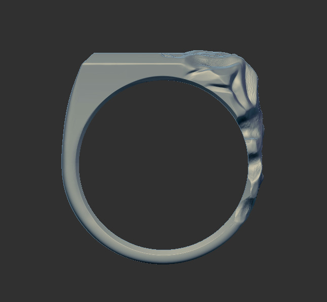 Ring 59705 3D print model_4