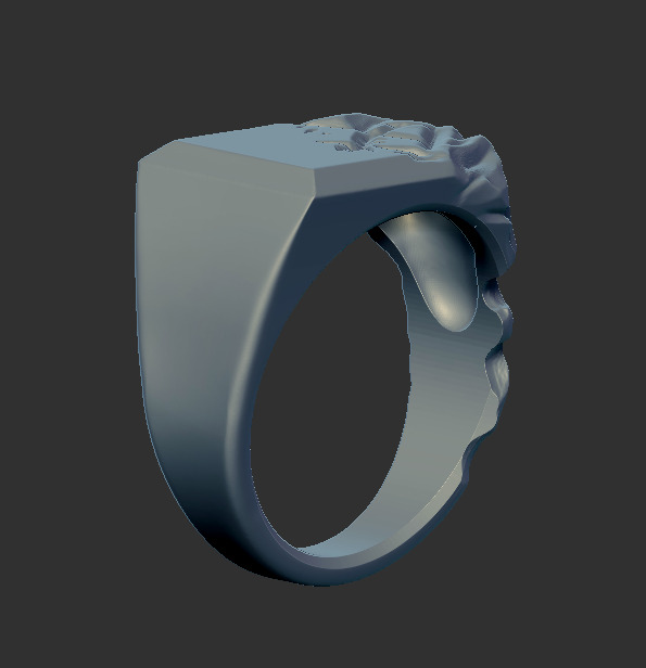 Ring 59705 3D print model_3