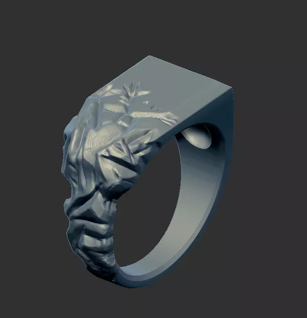 Ring 59705 3D print model_0