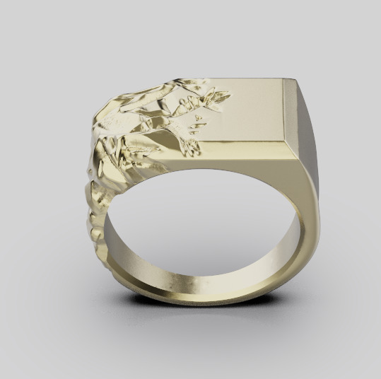 Ring 59705 3D print model_8