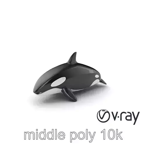Orca Whale Dynamic Pose model pack