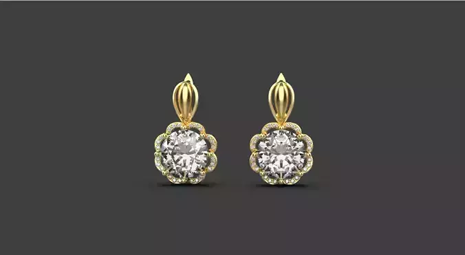 Earrings 53213