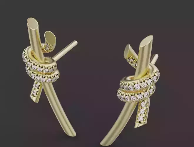 Earrings 75174