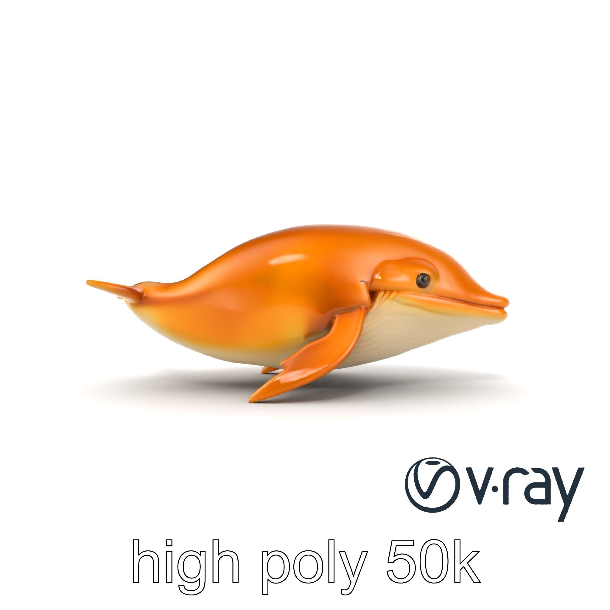 Sperm Whale Detailed Head Model Pack Low-poly 3D model_31