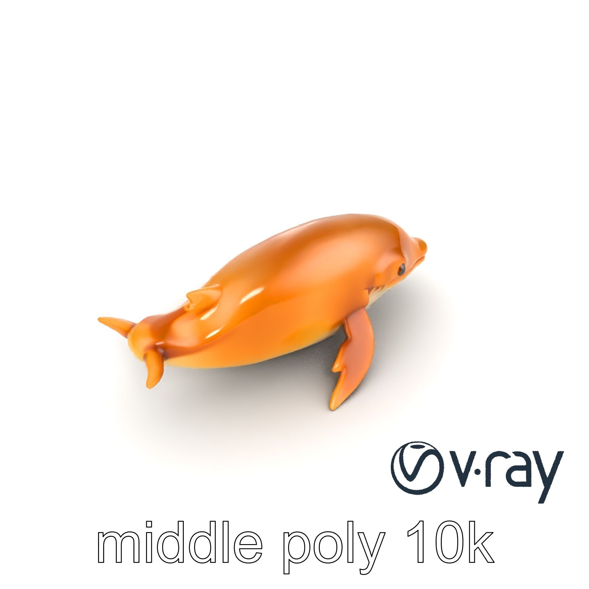 Sperm Whale Detailed Head Model Pack Low-poly 3D model_11