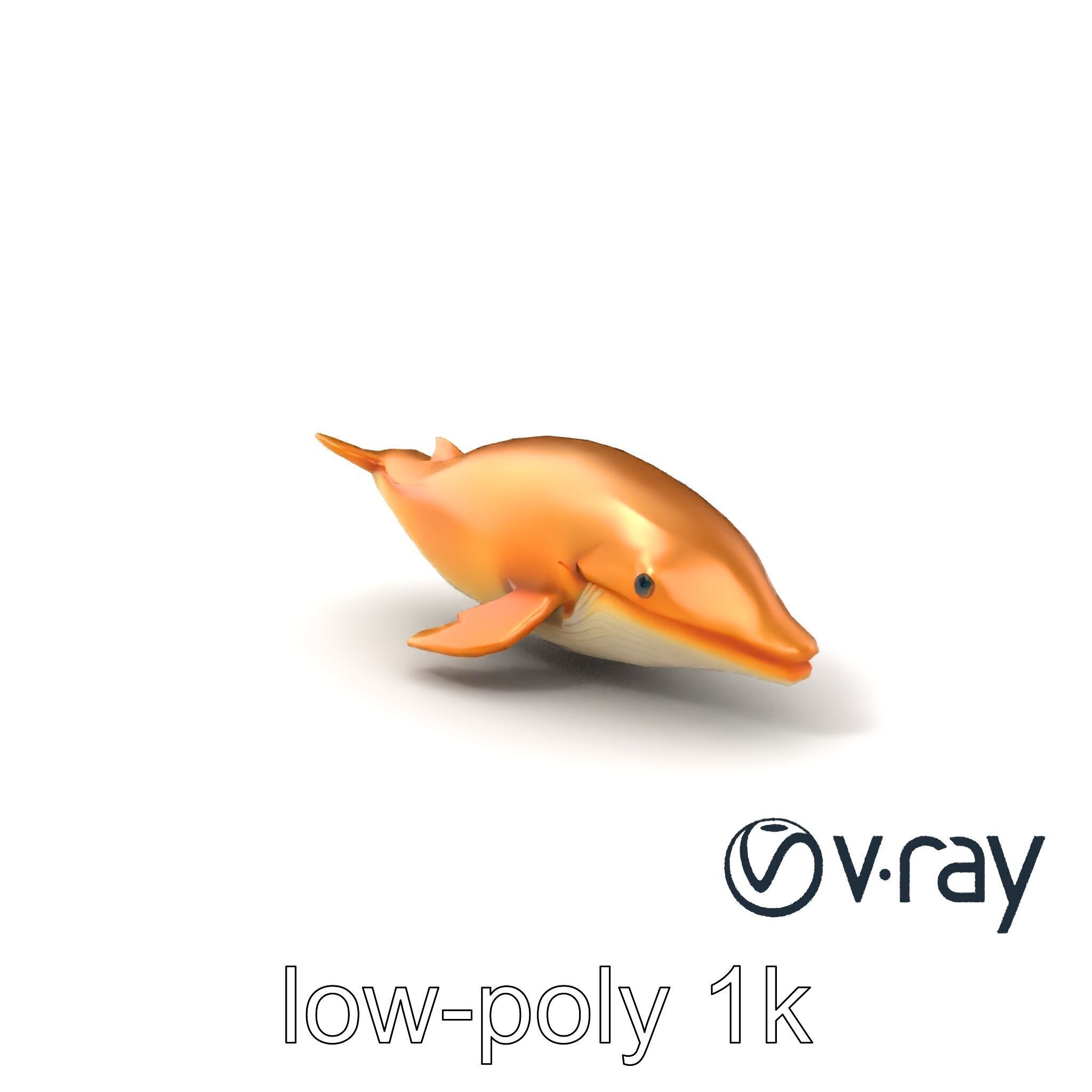 Sperm Whale Detailed Head Model Pack Low-poly 3D model_5