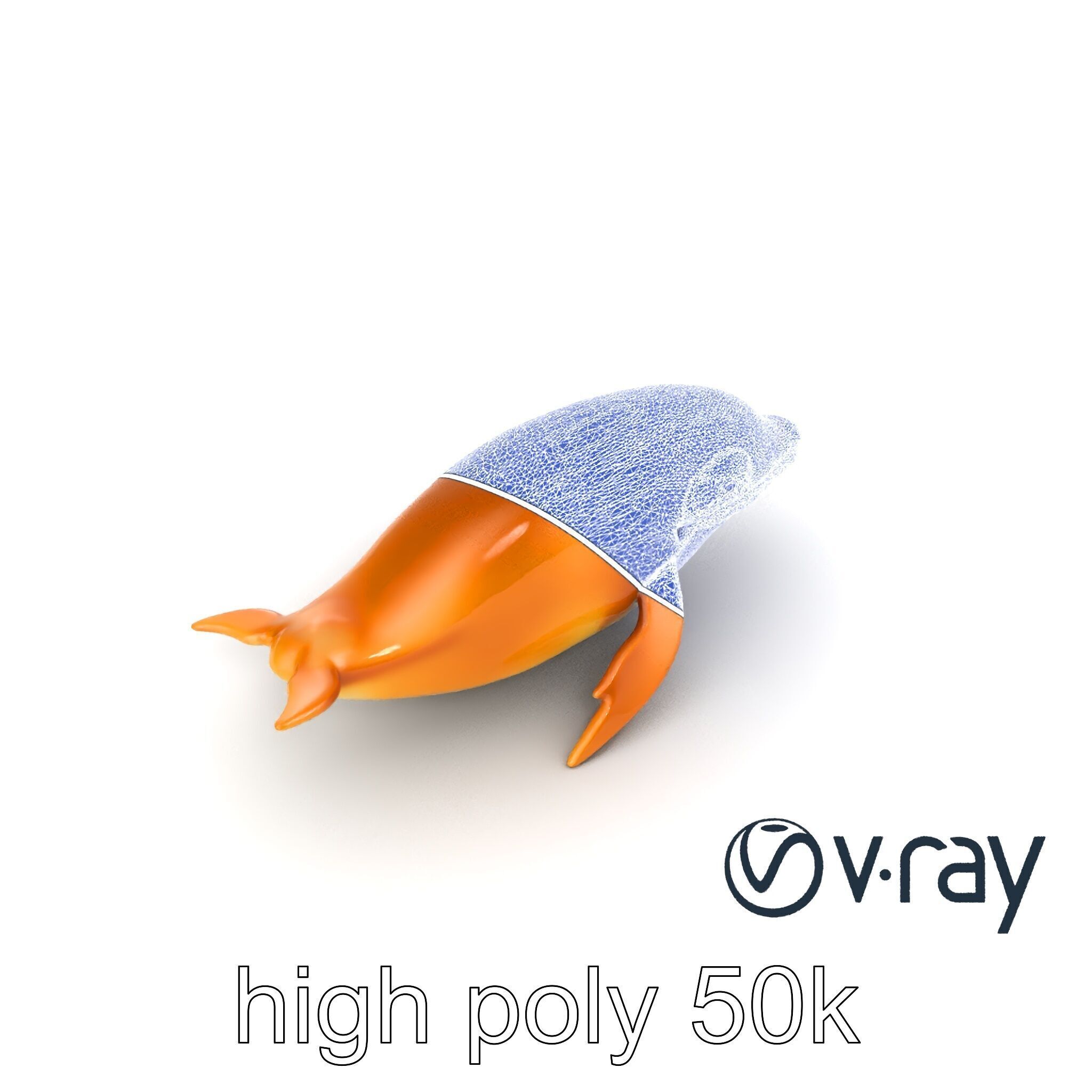 Sperm Whale Detailed Head Model Pack Low-poly 3D model_28