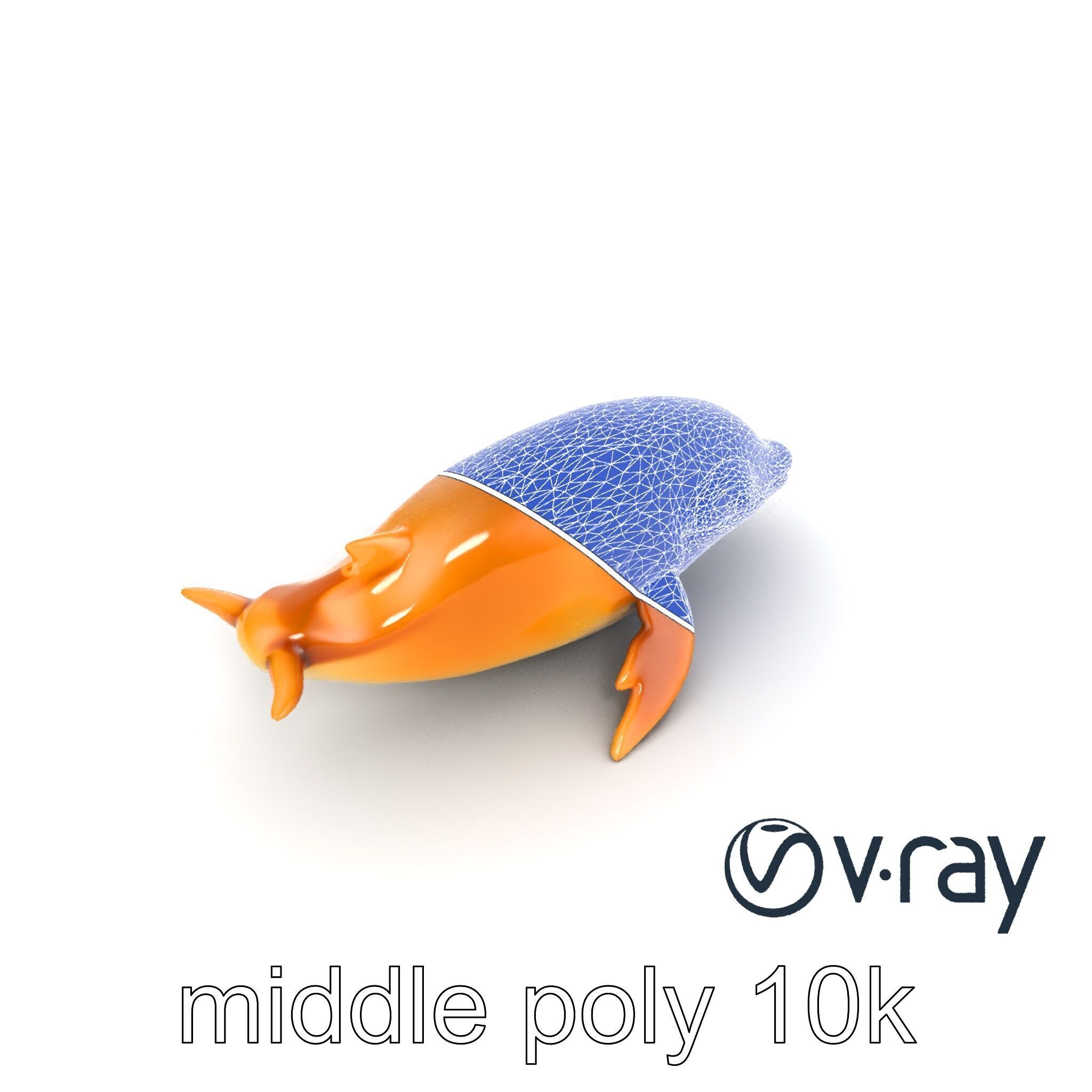 Sperm Whale Detailed Head Model Pack Low-poly 3D model_12