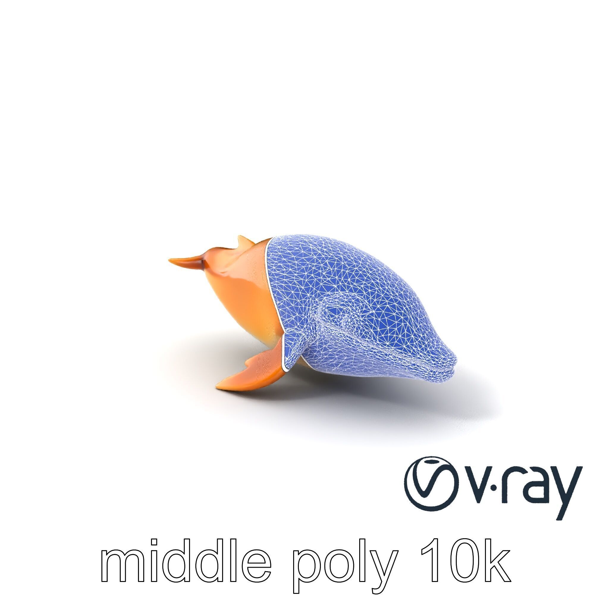 Sperm Whale Detailed Head Model Pack Low-poly 3D model_6