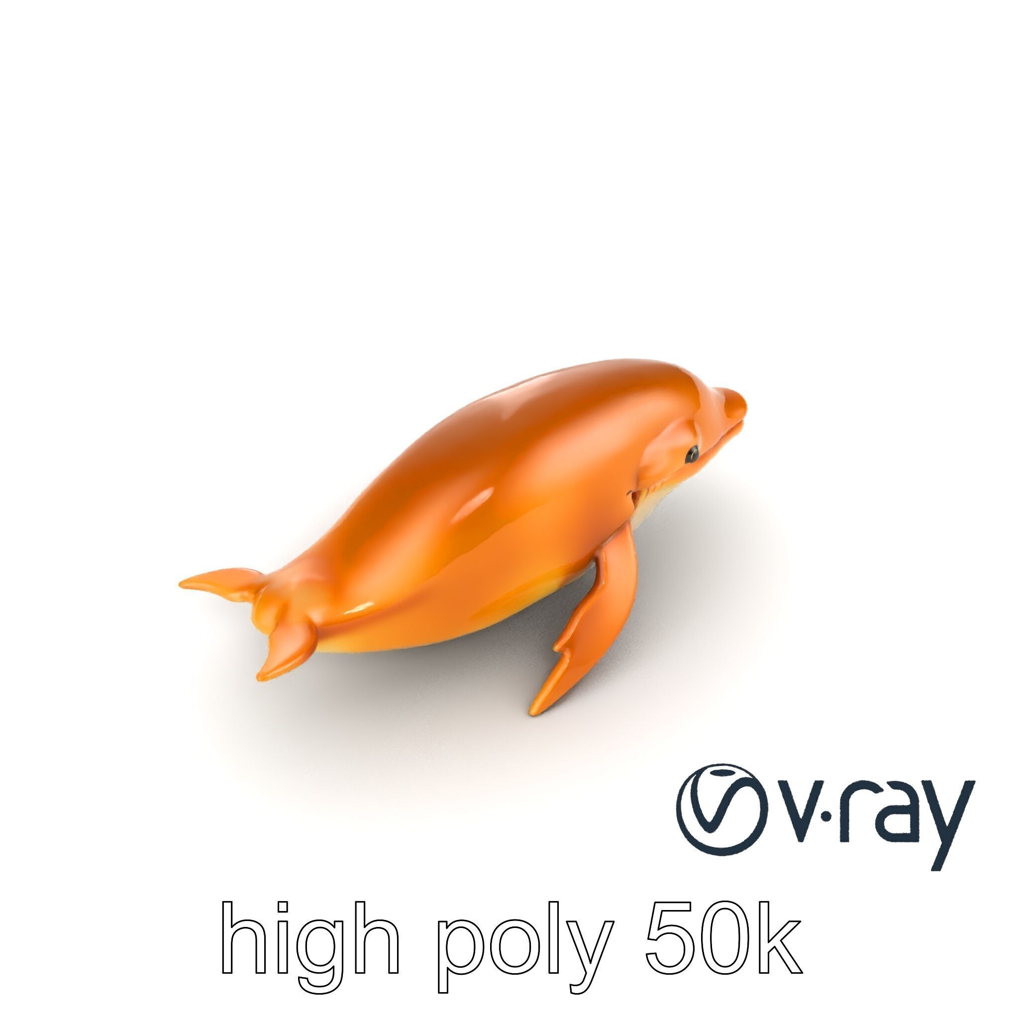 Sperm Whale Detailed Head Model Pack Low-poly 3D model_29