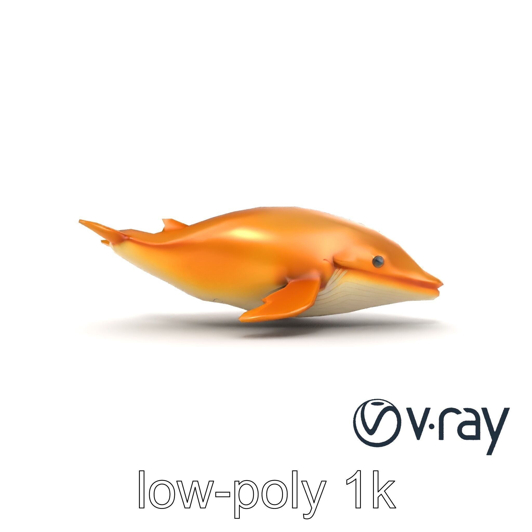 Sperm Whale Detailed Head Model Pack Low-poly 3D model_20