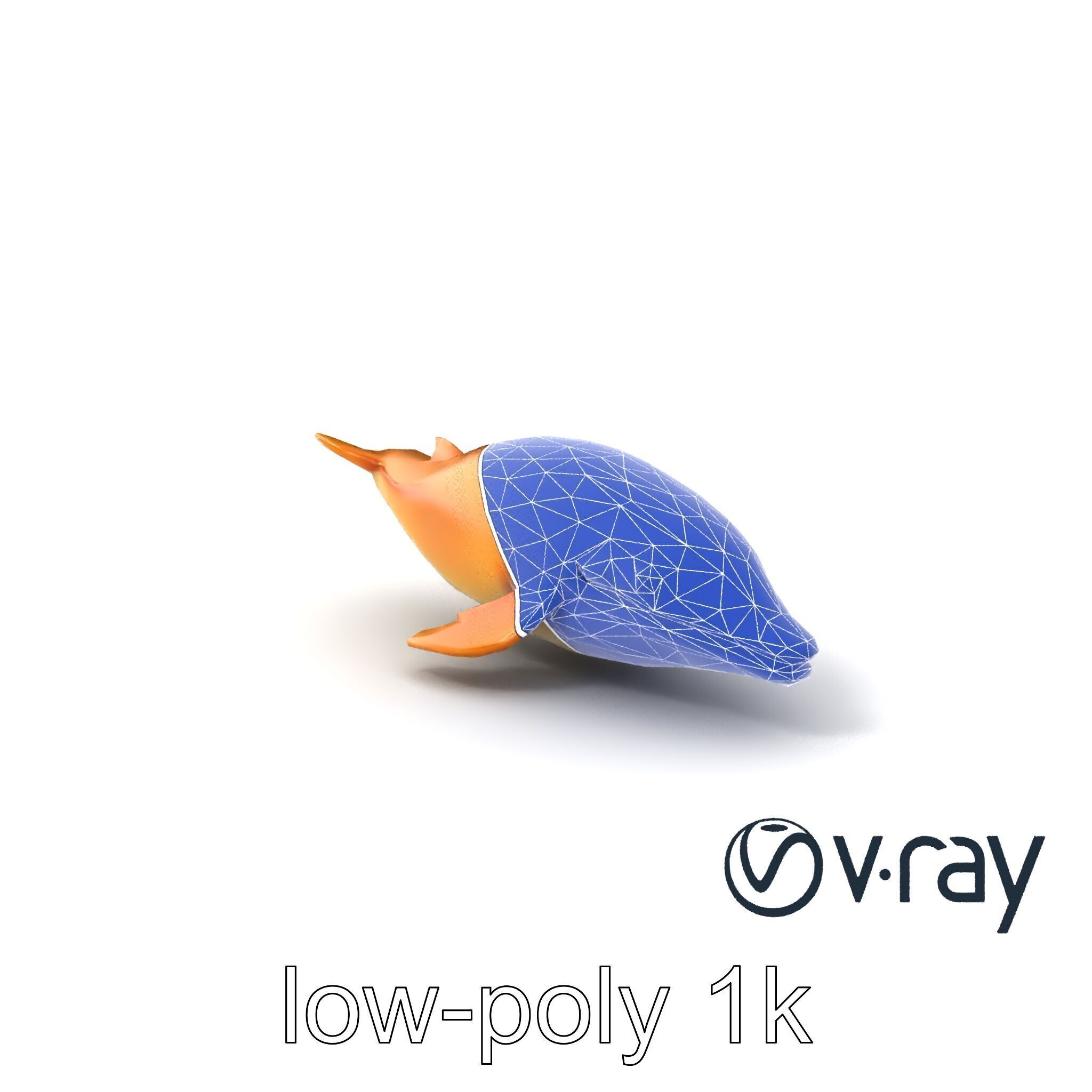 Sperm Whale Detailed Head Model Pack Low-poly 3D model_7