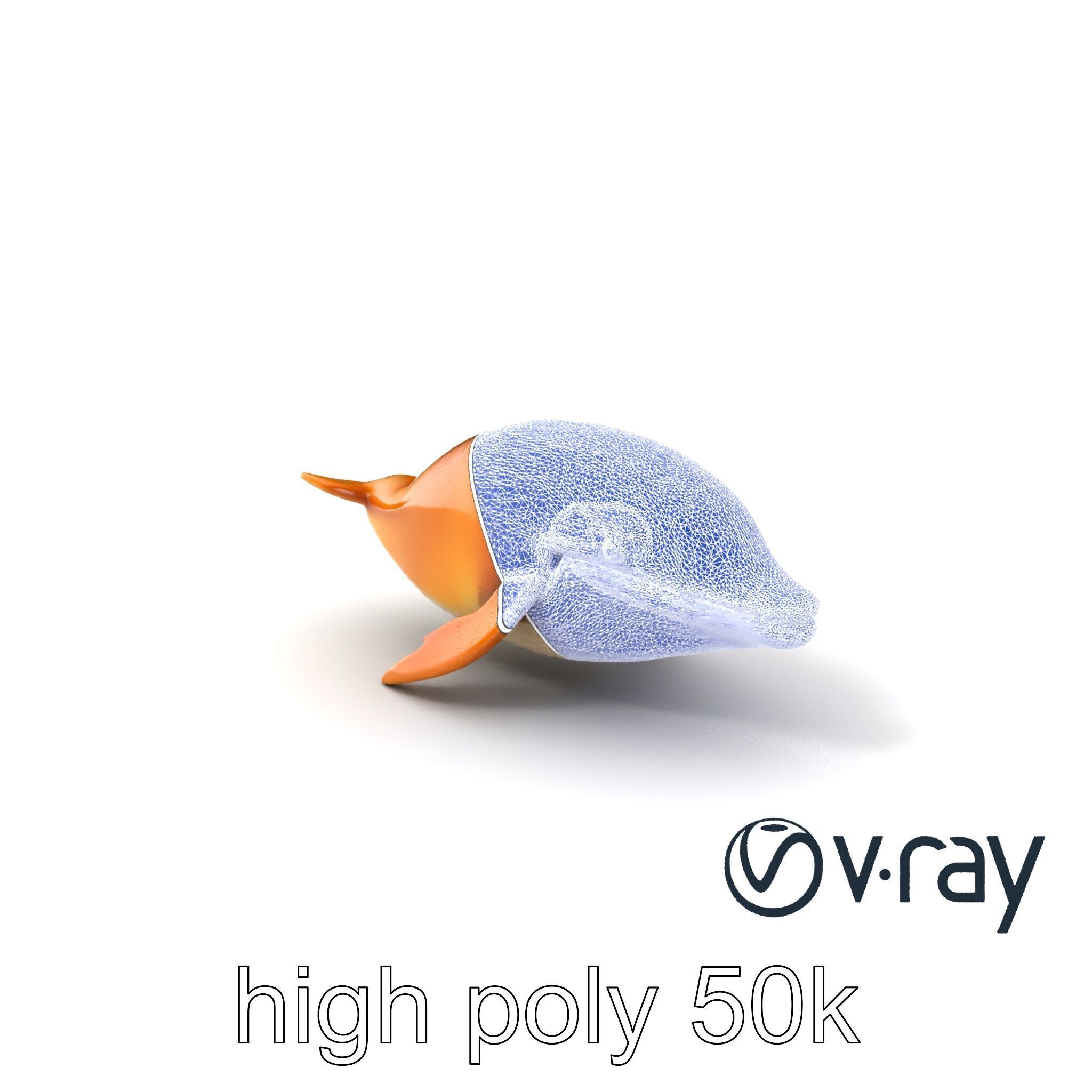 Sperm Whale Detailed Head Model Pack Low-poly 3D model_10