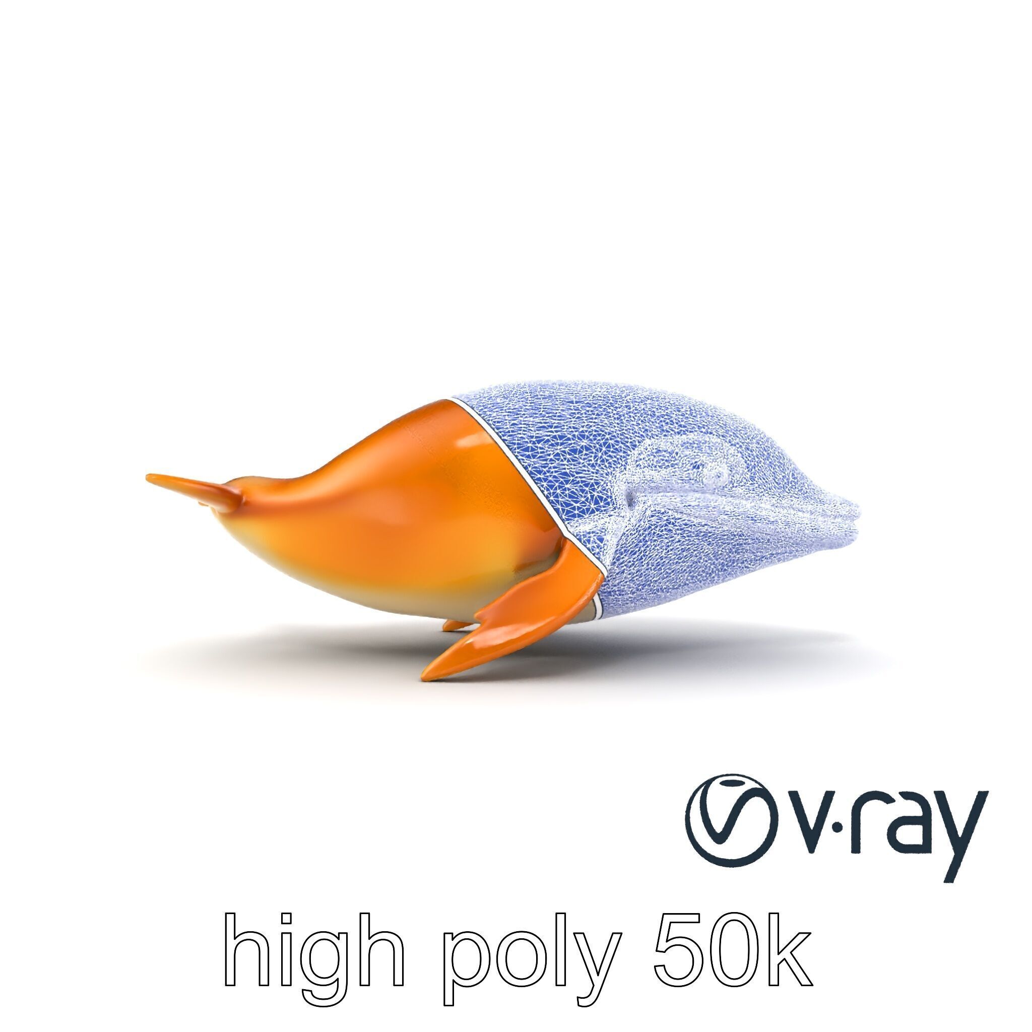 Sperm Whale Detailed Head Model Pack Low-poly 3D model_18