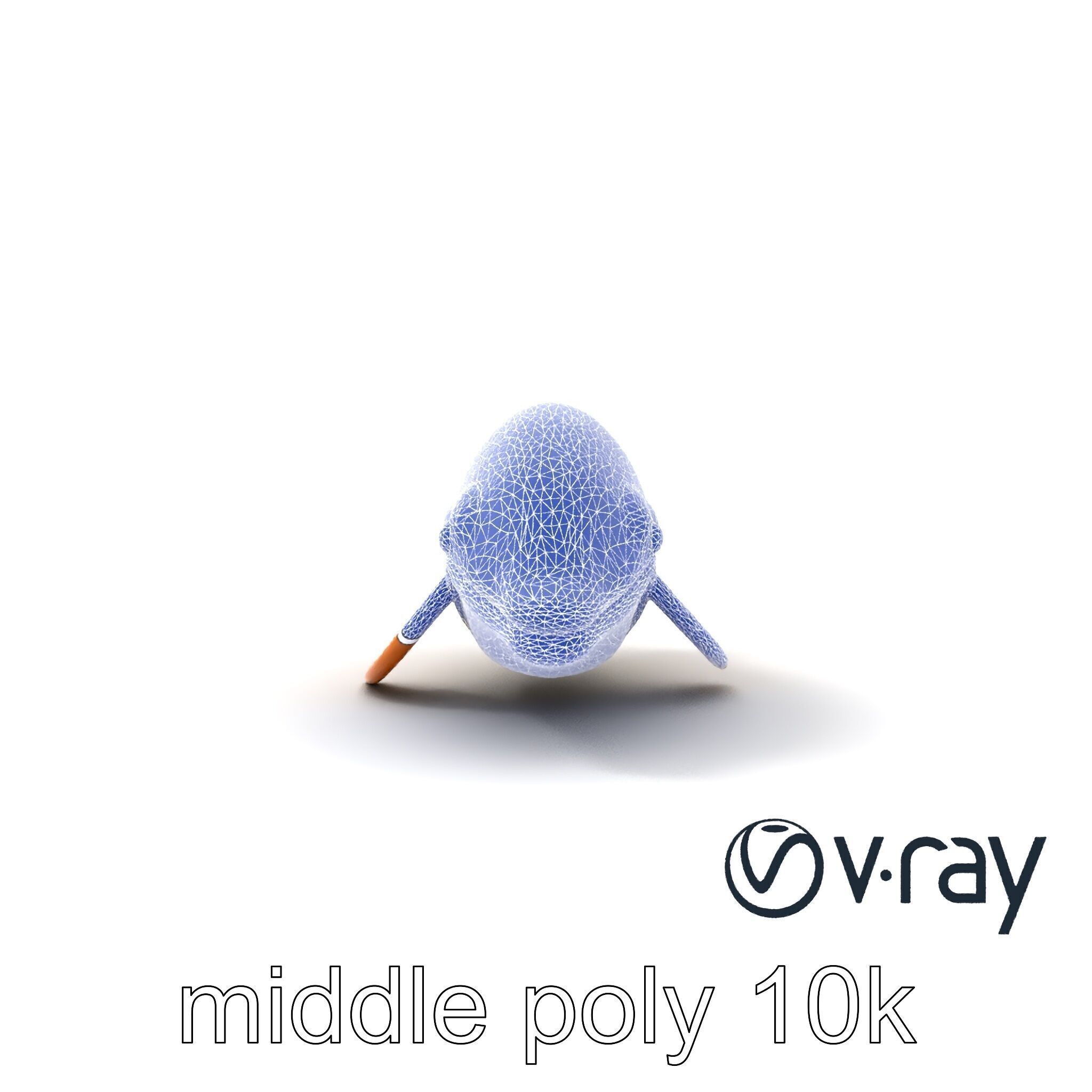 Sperm Whale Detailed Head Model Pack Low-poly 3D model_30