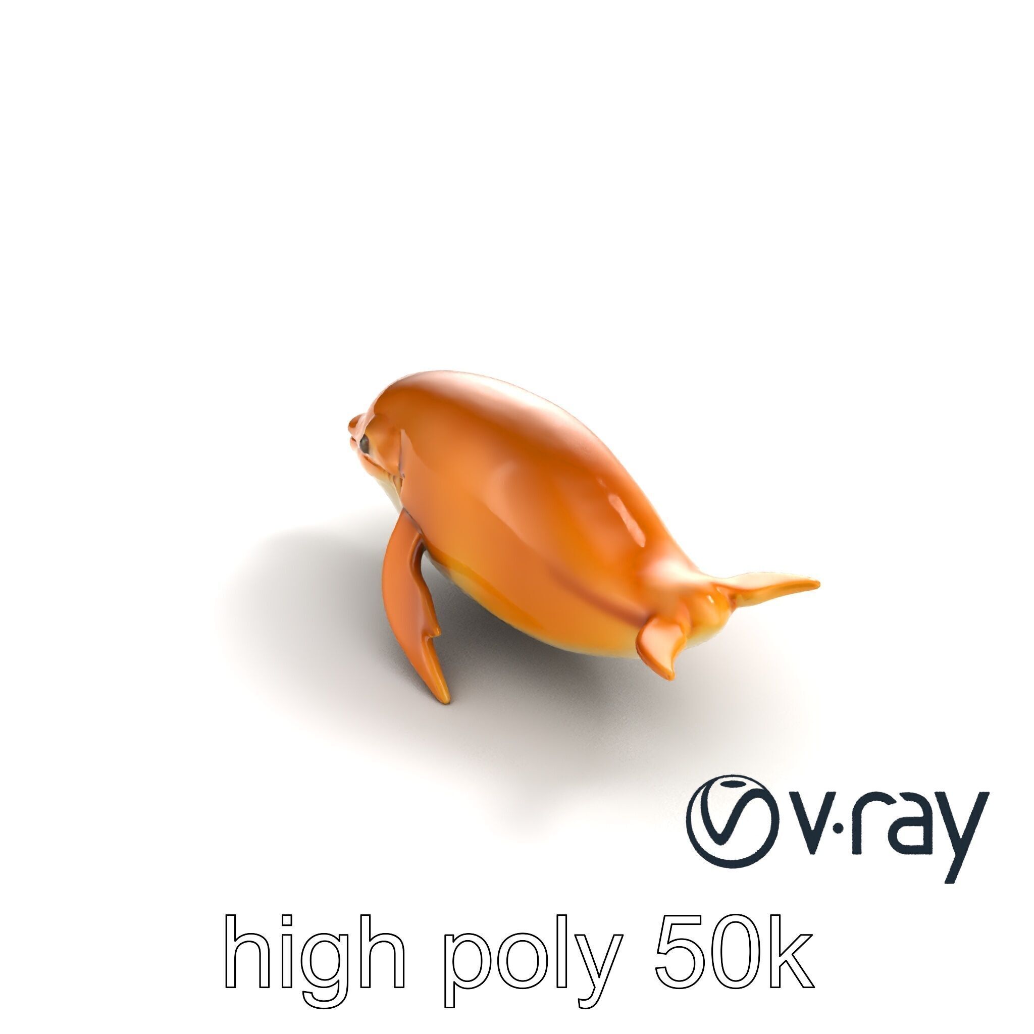 Sperm Whale Detailed Head Model Pack Low-poly 3D model_19
