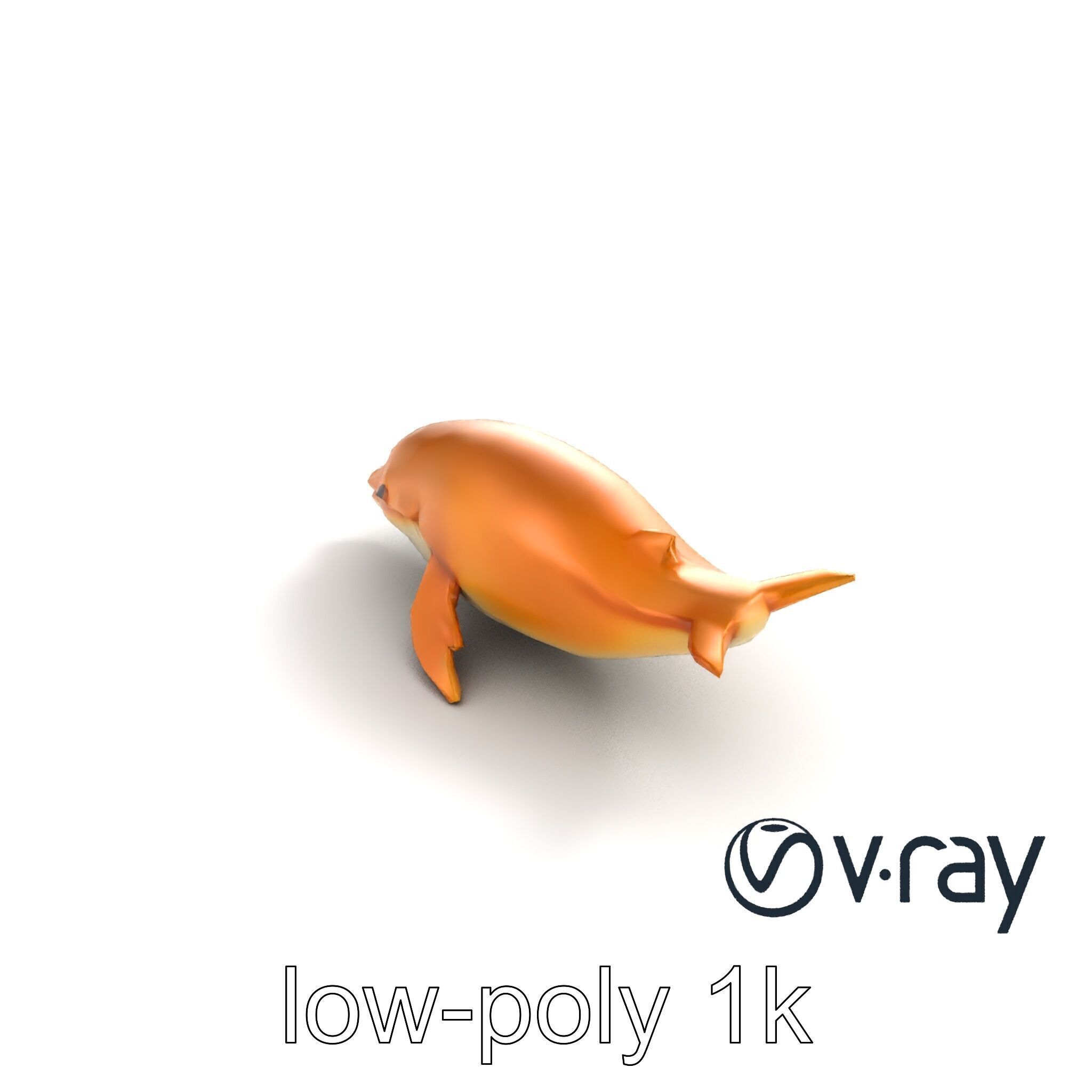 Sperm Whale Detailed Head Model Pack Low-poly 3D model_9