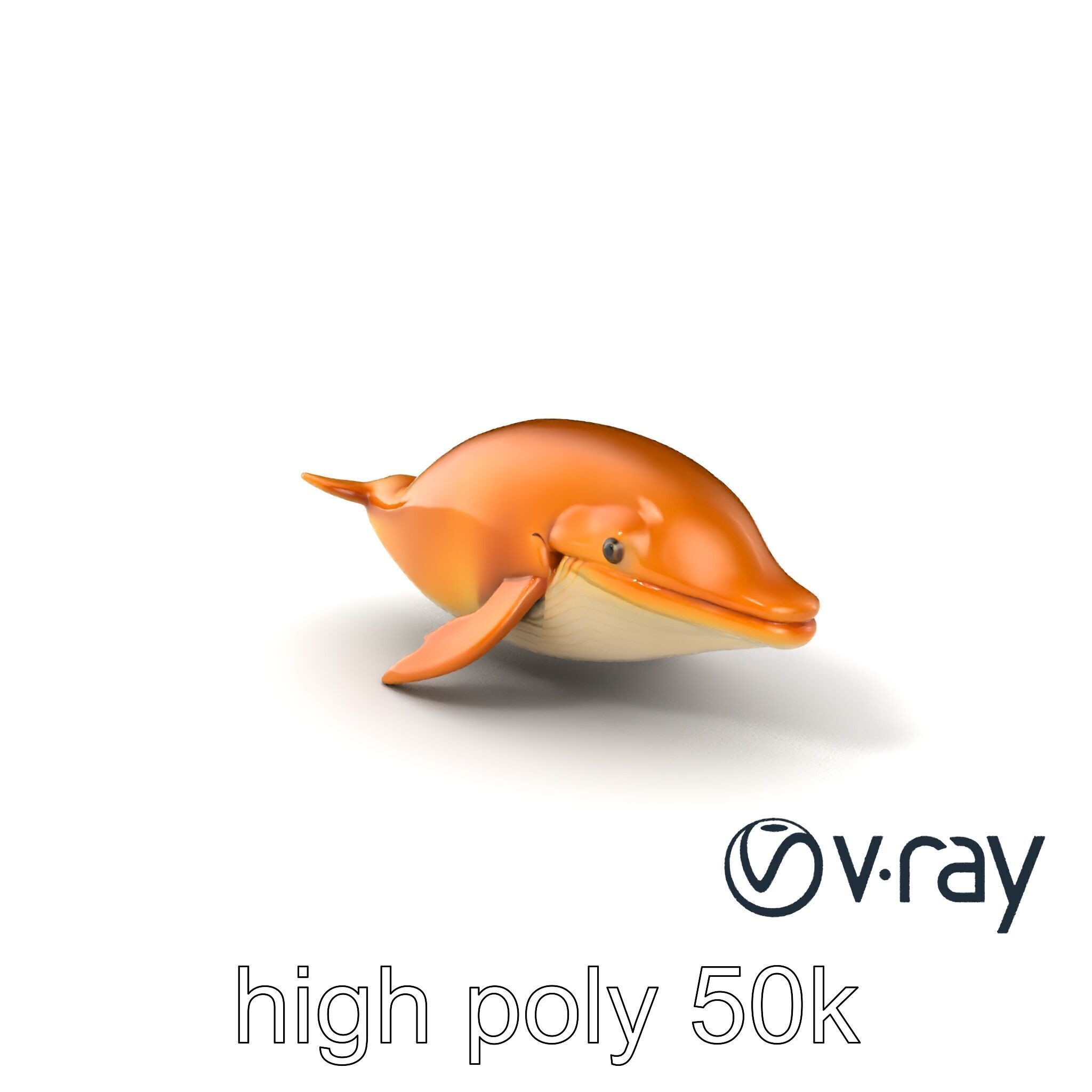 Sperm Whale Detailed Head Model Pack Low-poly 3D model_2