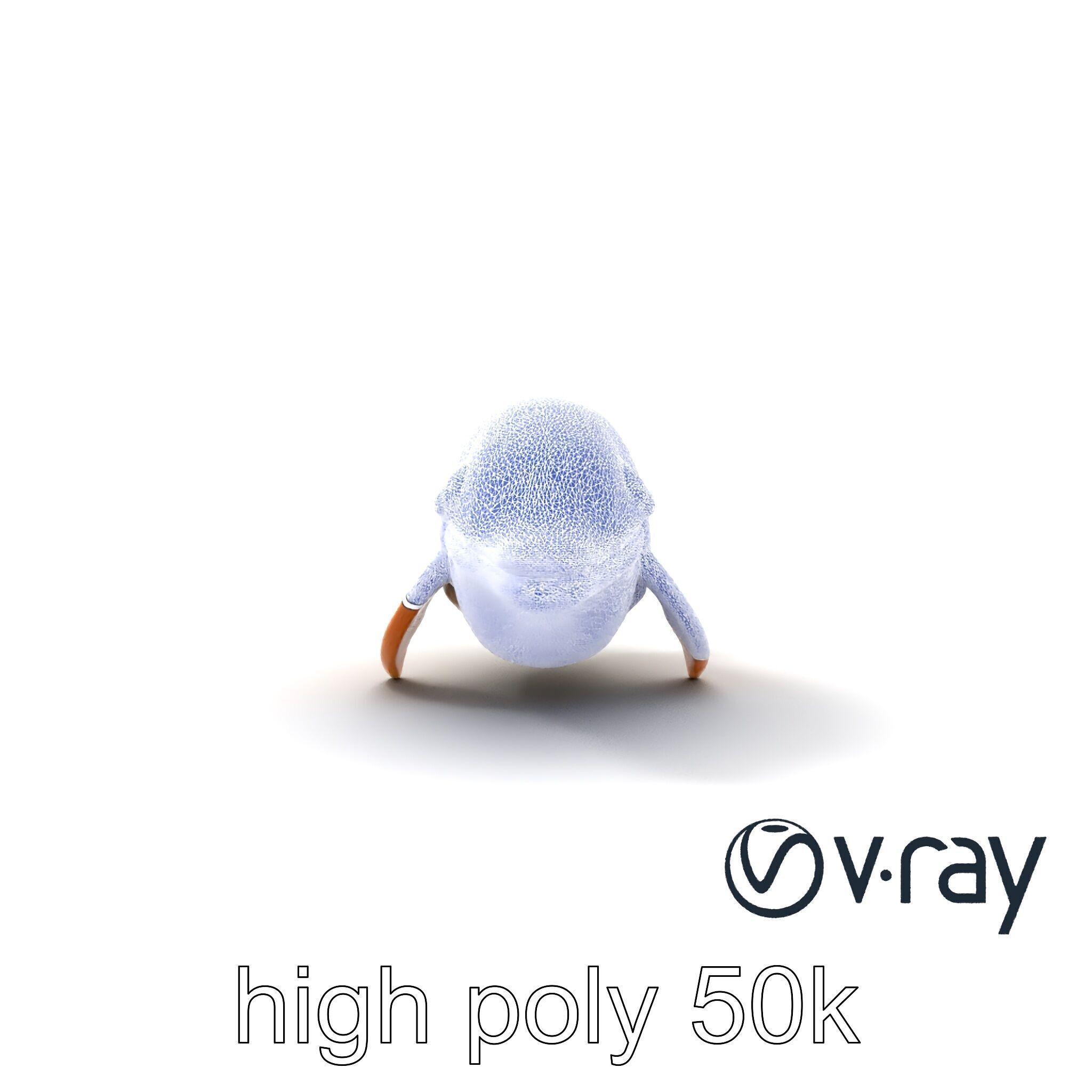 Sperm Whale Detailed Head Model Pack Low-poly 3D model_25