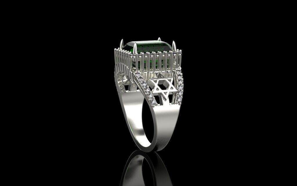 Ring 6730 3D print model_2