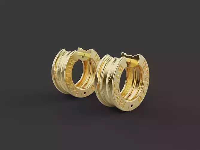 Earrings 67016