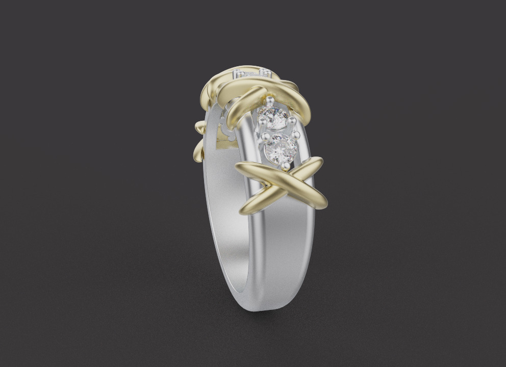 Ring 66466 3D print model_1