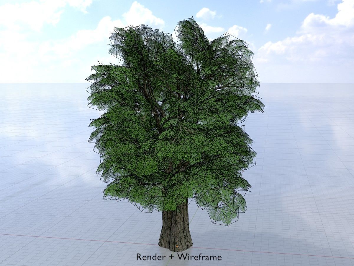 Alnus glutinosa tree summer Package 3D Model Collection_47