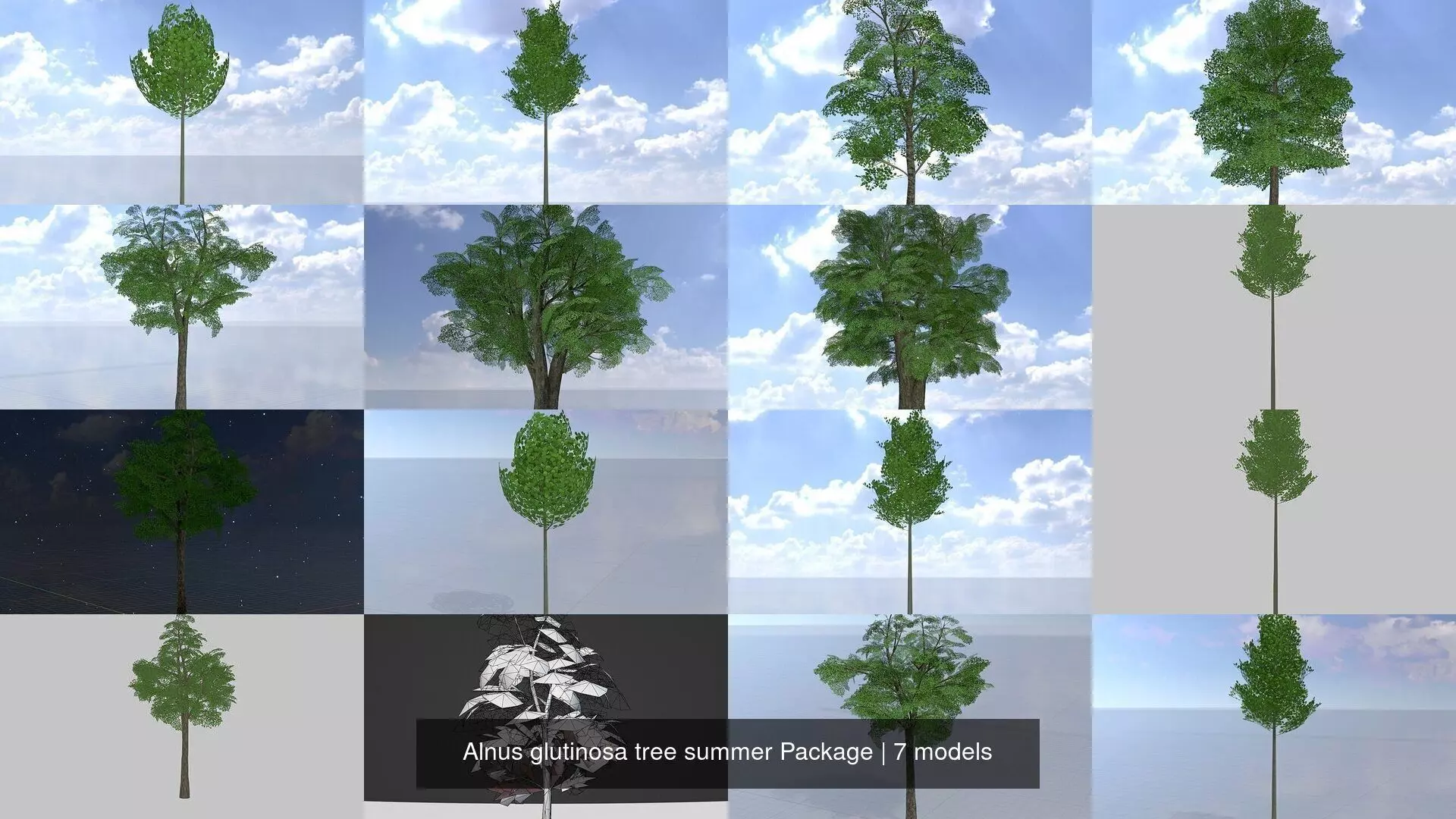 Alnus glutinosa tree summer Package 3D Model Collection_0