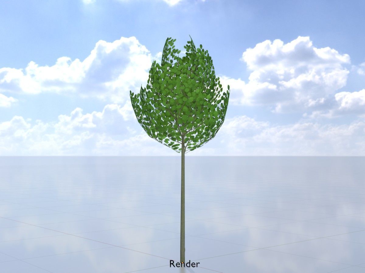 Alnus glutinosa tree summer Package 3D Model Collection_101