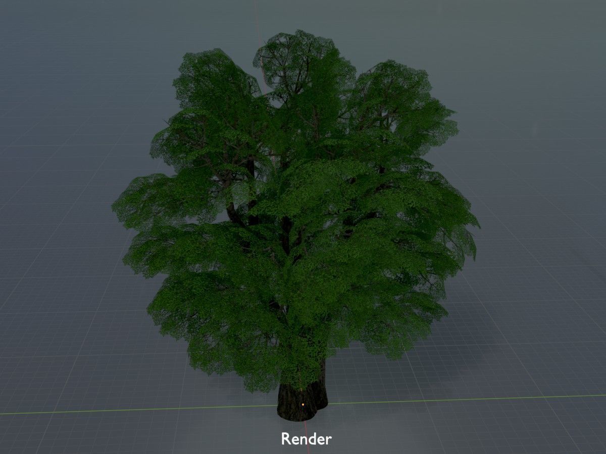 Alnus glutinosa tree summer Package 3D Model Collection_110