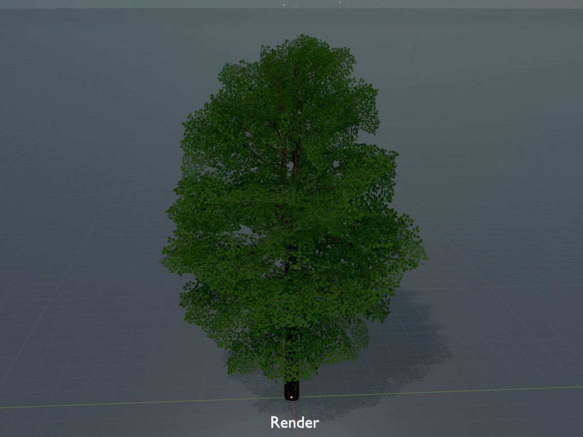 Alnus glutinosa tree summer Package 3D Model Collection_106