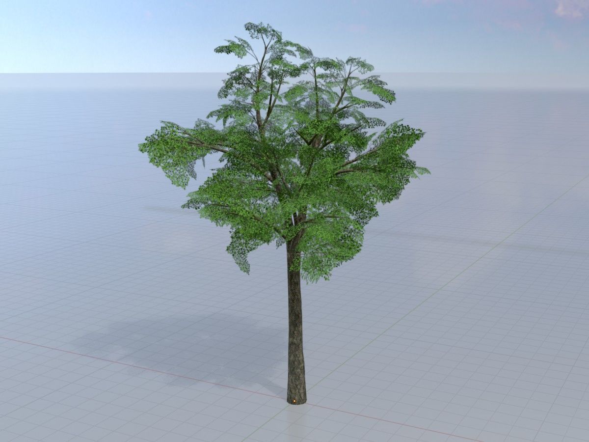 Alnus glutinosa tree summer Package 3D Model Collection_30