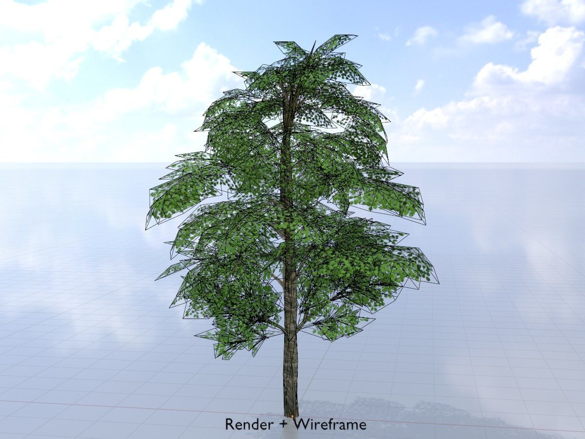 Alnus glutinosa tree summer Package 3D Model Collection_49