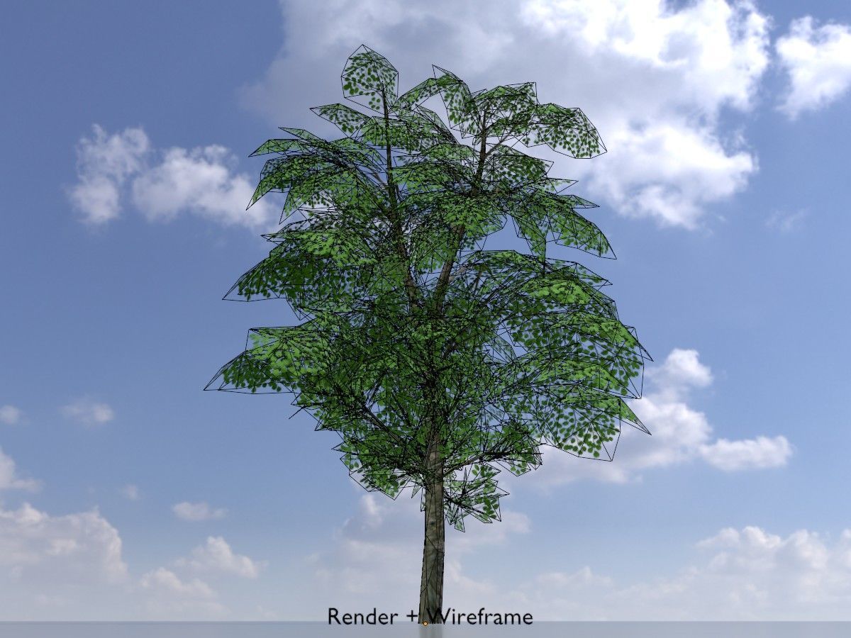 Alnus glutinosa tree summer Package 3D Model Collection_56