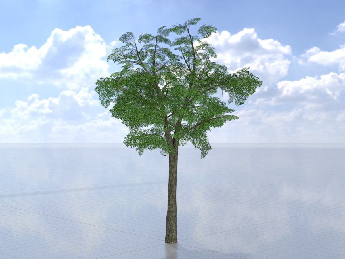 Alnus glutinosa tree summer Package 3D Model Collection_11