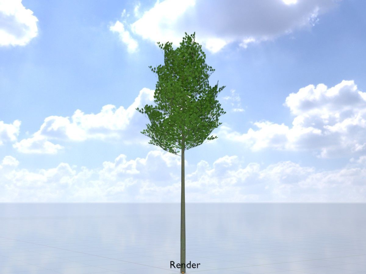 Alnus glutinosa tree summer Package 3D Model Collection_104