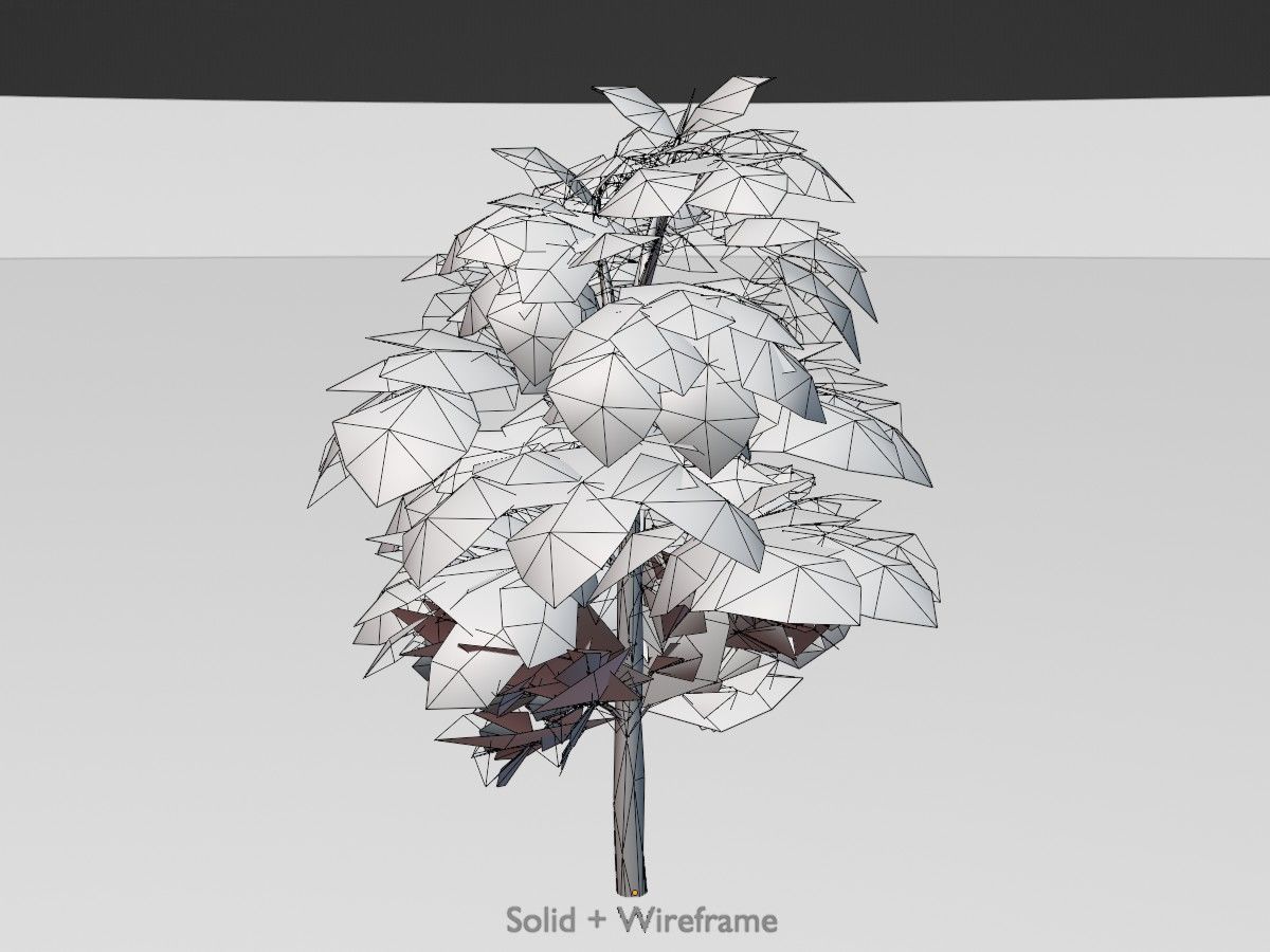 Alnus glutinosa tree summer Package 3D Model Collection_98