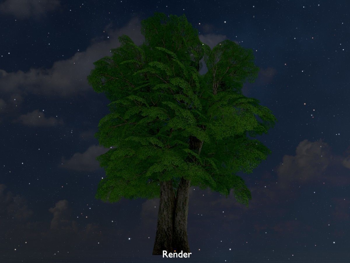 Alnus glutinosa tree summer Package 3D Model Collection_124